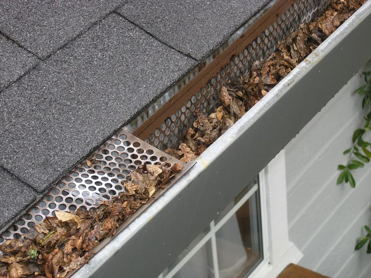 Gouttière encombrée de feuilles avant assainissement de la toiture