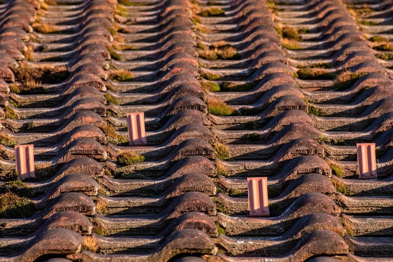 Avant : Nettoyage de tuiles canal — exemple