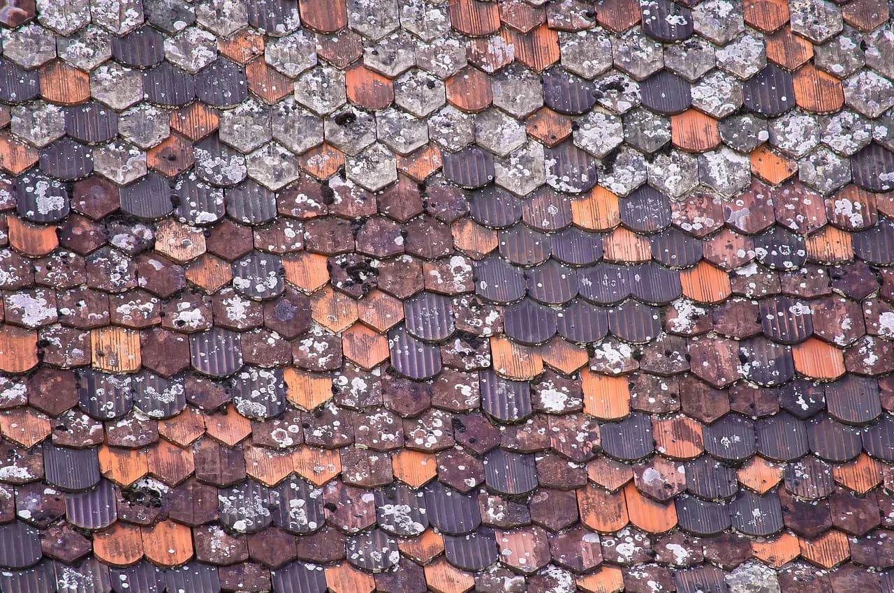 Tuiles anciennes de différentes teintes